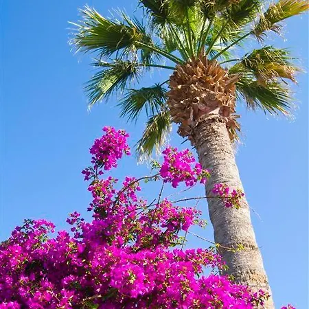 Abella Hotel Crete Island